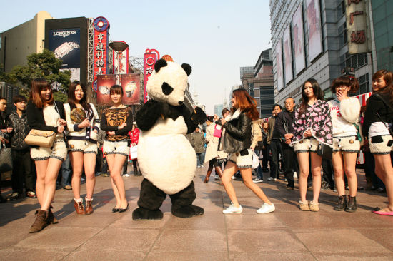 Panda And Panda Girls Wearing Panda Shorts In Shanghai Chinasmack